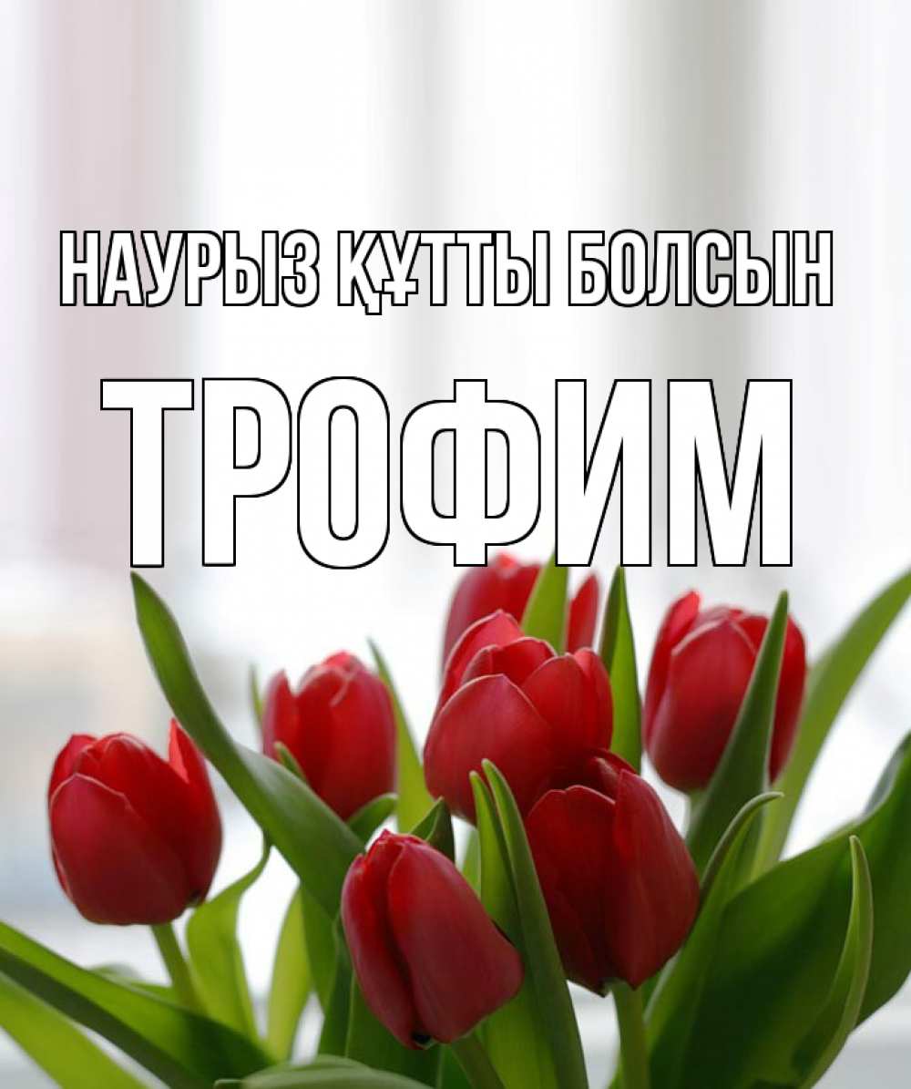 Открытка на каждый день с именем, Трофим Наурыз құтты болсын полевые цветы Прикольная открытка с пожеланием онлайн скачать бесплатно 
