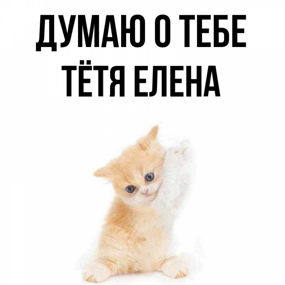Открытка на каждый день с именем, Тётя-Елена Думаю о тебе зверушки и милота Прикольная открытка с пожеланием онлайн скачать бесплатно 