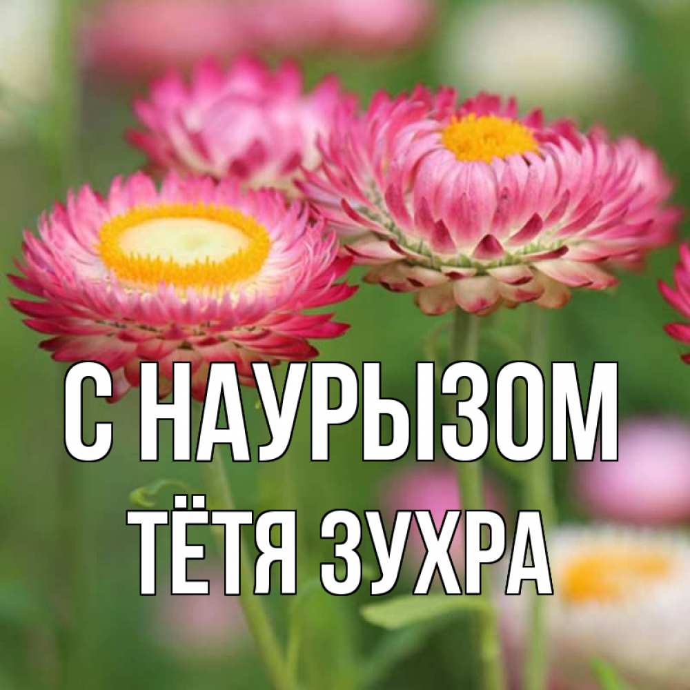 Открытка на каждый день с именем, Тётя-Зухра С наурызом подарок на международный женский день Прикольная открытка с пожеланием онлайн скачать бесплатно 