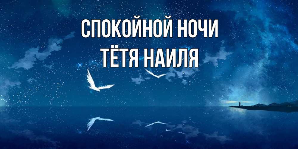 Открытка на каждый день с именем, Тётя-Наиля Спокойной ночи птицы летят на фоне ночного неба Прикольная открытка с пожеланием онлайн скачать бесплатно 