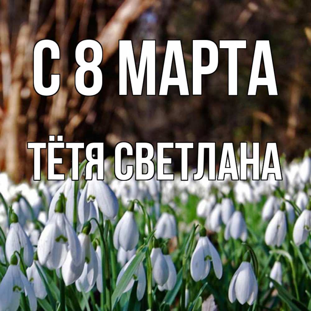 Открытка на каждый день с именем, Тётя-Светлана С 8 МАРТА с подснежниками 1 Прикольная открытка с пожеланием онлайн скачать бесплатно 