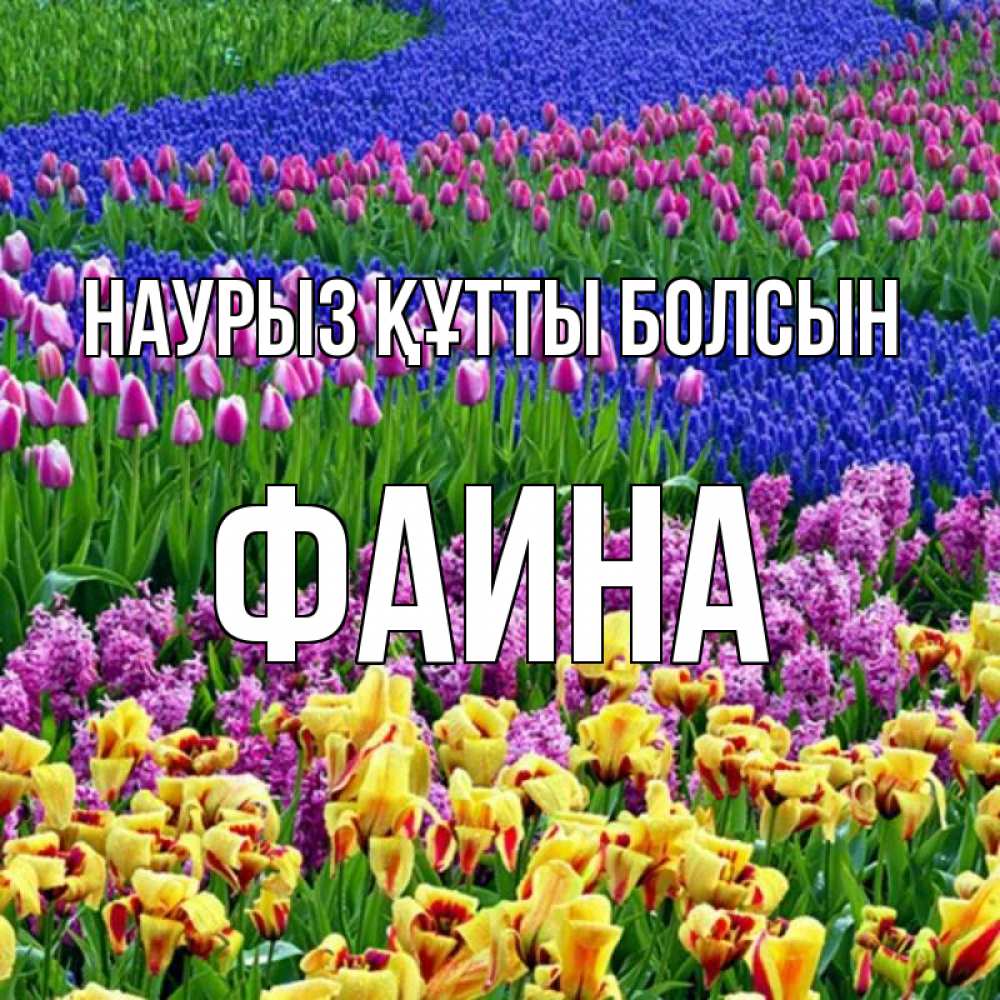 Открытка на каждый день с именем, Фаина Наурыз құтты болсын цветы Прикольная открытка с пожеланием онлайн скачать бесплатно 