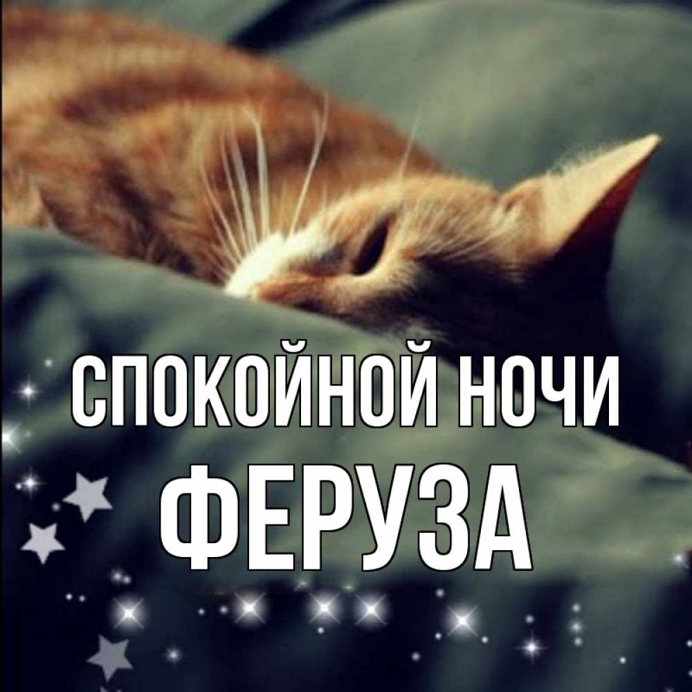 Открытка на каждый день с именем, Феруза Спокойной ночи кроватка Прикольная открытка с пожеланием онлайн скачать бесплатно 