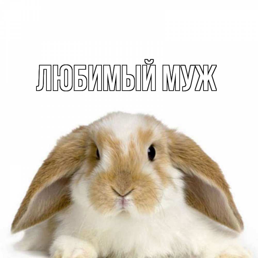 Доброе утро илюша картинки