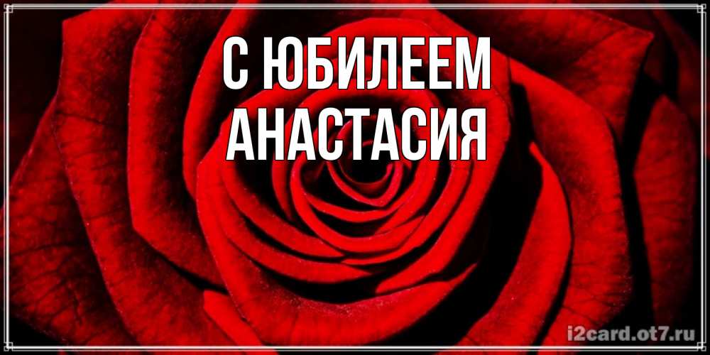 Открытка на каждый день с именем, Анастасия С юбилеем алая роза Прикольная открытка с пожеланием онлайн скачать бесплатно 