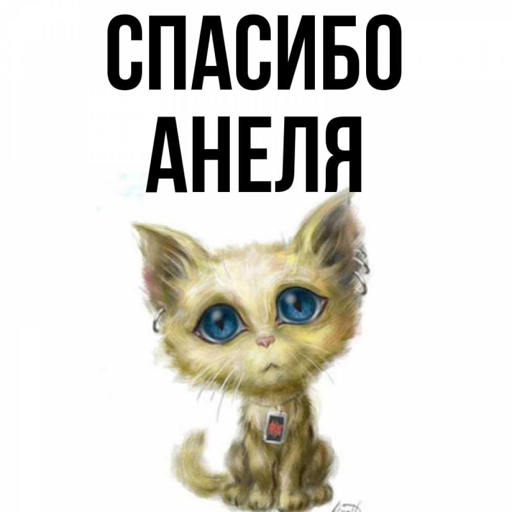 Открытка на каждый день с именем, Анеля Спасибо рисованный кот благодарит вас Прикольная открытка с пожеланием онлайн скачать бесплатно 