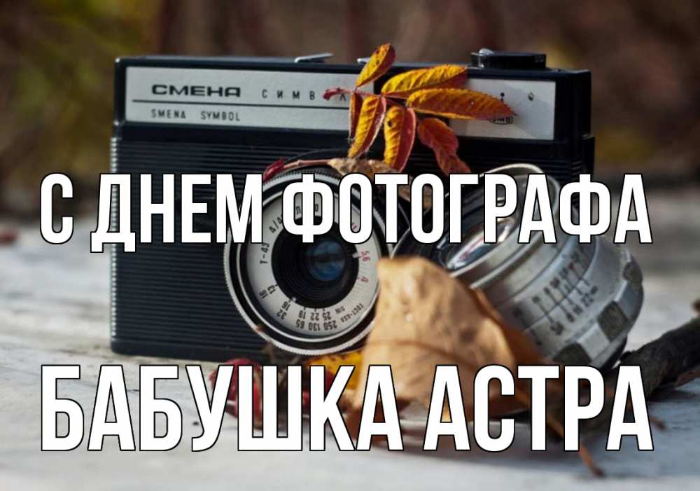 Открытка на каждый день с именем, Бабушка-Астра С днем фотографа с днем фотографа Прикольная открытка с пожеланием онлайн скачать бесплатно 