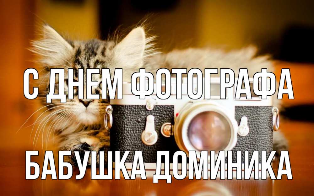 Открытка на каждый день с именем, Бабушка-Доминика С днем фотографа с днем фотографа Прикольная открытка с пожеланием онлайн скачать бесплатно 