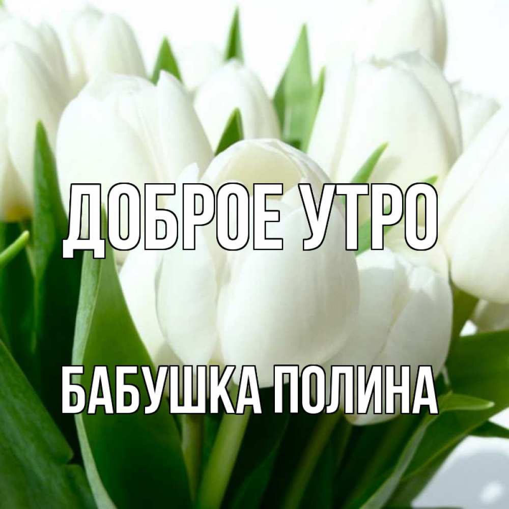 Открытка на каждый день с именем, Бабушка-Полина Доброе утро открытки на каждый день по именам Прикольная открытка с пожеланием онлайн скачать бесплатно 