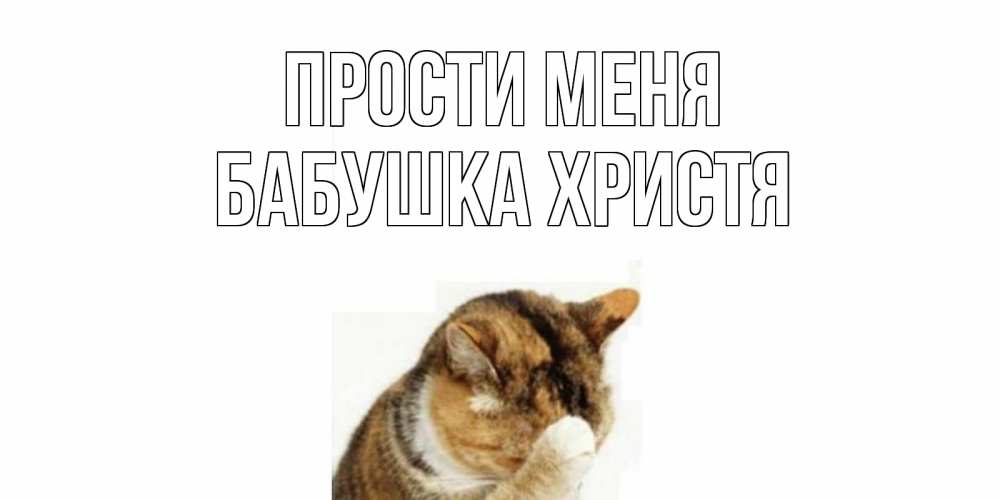 Открытка на каждый день с именем, Бабушка-Христя Прости меня кот Прикольная открытка с пожеланием онлайн скачать бесплатно 