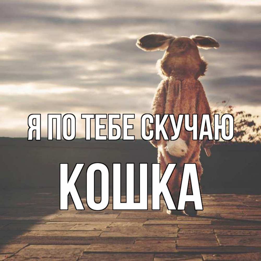 Открытка на каждый день с именем, Кошка Я по тебе скучаю даже в костюме зайца Прикольная открытка с пожеланием онлайн скачать бесплатно 