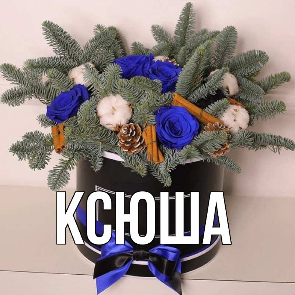 Открытка на каждый день с именем, Ксюша Главная короче кто то загрузил эти шишки Прикольная открытка с пожеланием онлайн скачать бесплатно 