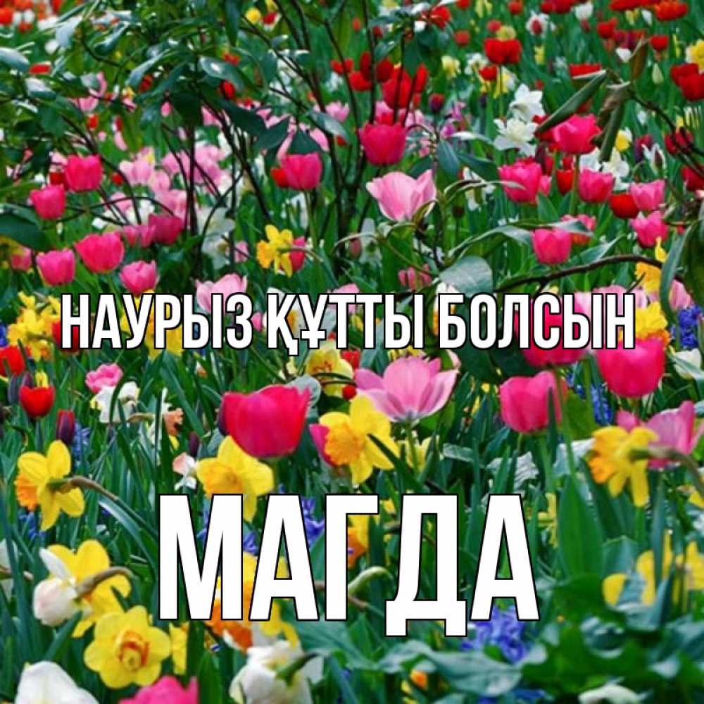 Открытка на каждый день с именем, Магда Наурыз құтты болсын с наурызом поздравления для женщины Прикольная открытка с пожеланием онлайн скачать бесплатно 