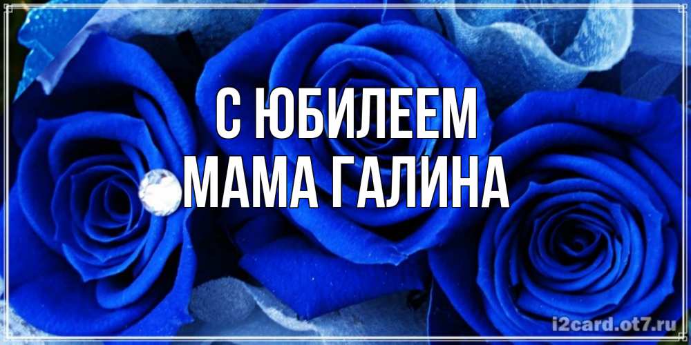 Открытка на каждый день с именем, Мама-Галина С юбилеем синие розы в росе Прикольная открытка с пожеланием онлайн скачать бесплатно 
