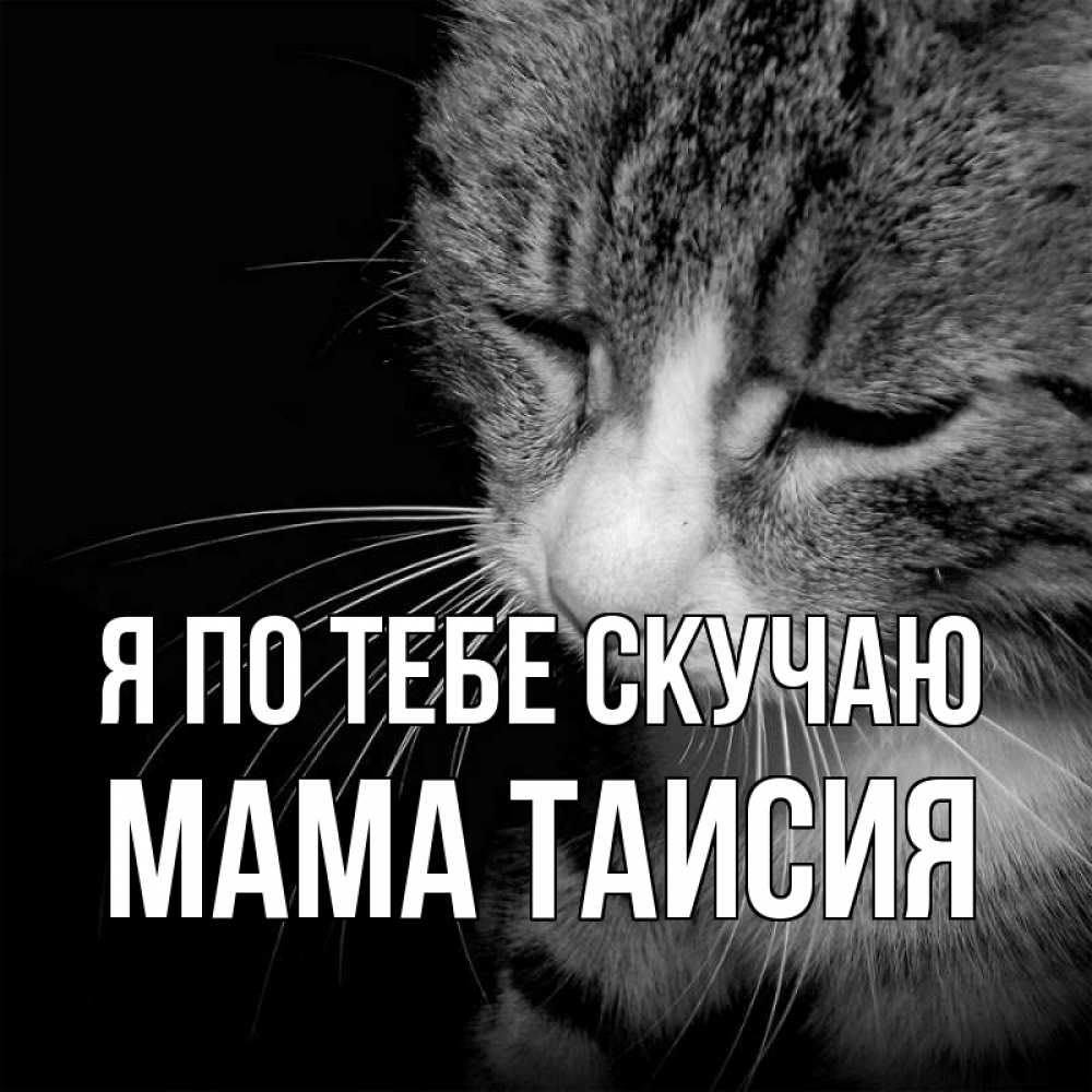 Открытка на каждый день с именем, Мама-Таисия Я по тебе скучаю мне скучно Прикольная открытка с пожеланием онлайн скачать бесплатно 