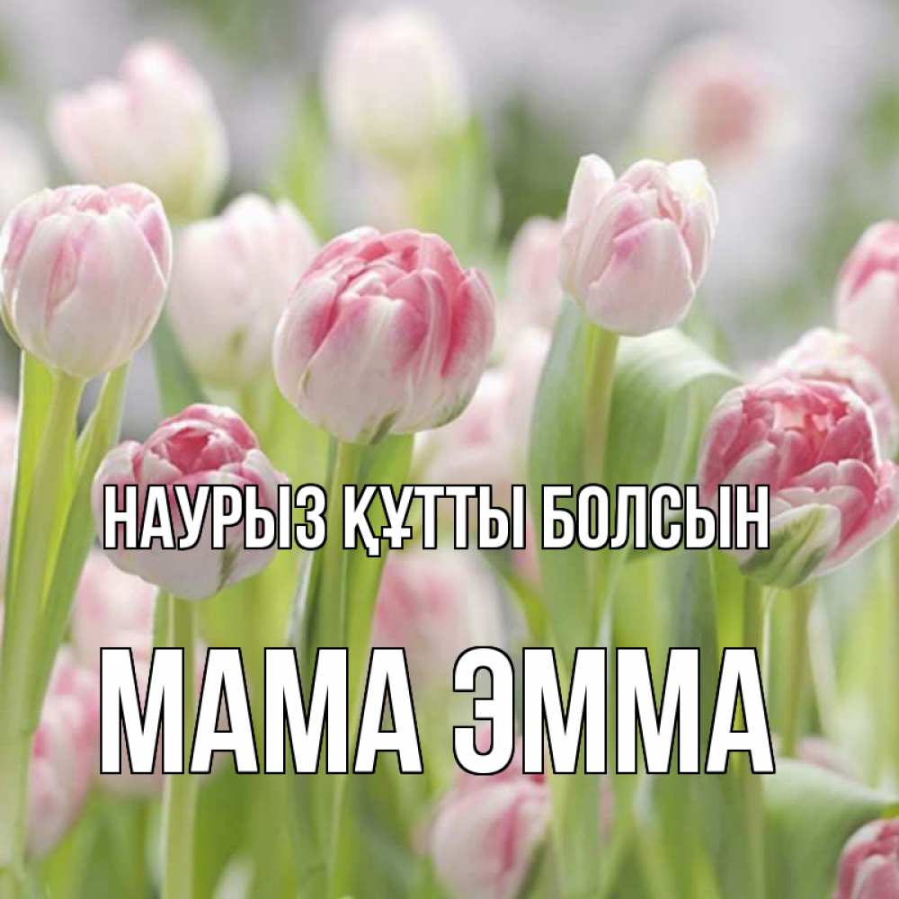 Открытка на каждый день с именем, Мама-Эмма Наурыз құтты болсын цветы Прикольная открытка с пожеланием онлайн скачать бесплатно 