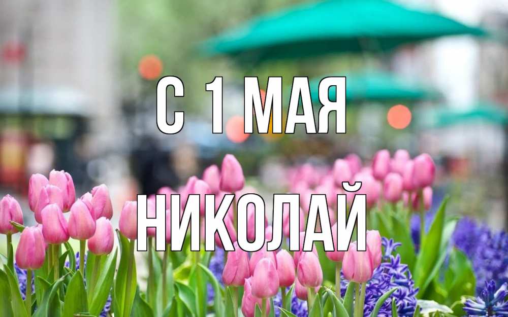 Открытка на каждый день с именем, Николай С 1 мая С 1 мая Прикольная открытка с пожеланием онлайн скачать бесплатно 