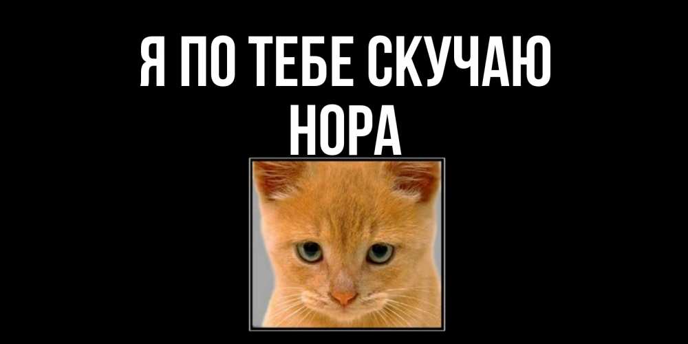 Открытка на каждый день с именем, Нора Я по тебе скучаю открытки рыжий котенок скучает по тебе Прикольная открытка с пожеланием онлайн скачать бесплатно 