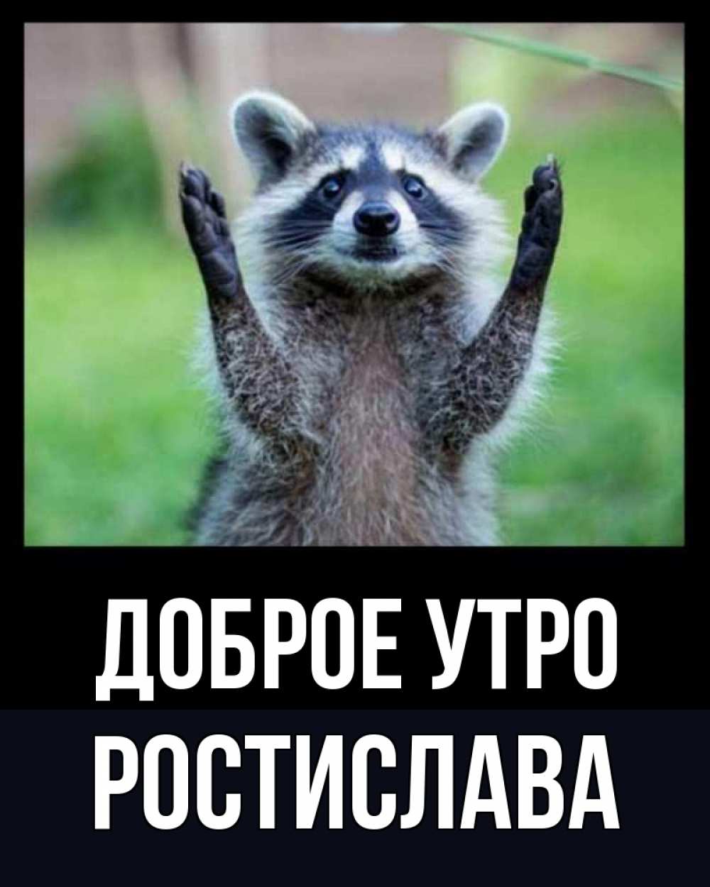 Открытка на каждый день с именем, Ростислава Доброе утро хорошее настроение утречком Прикольная открытка с пожеланием онлайн скачать бесплатно 