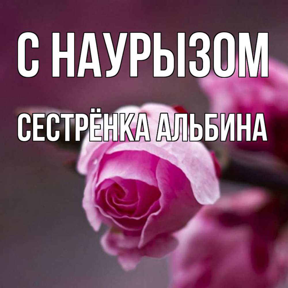 Открытка на каждый день с именем, Сестрёнка-Альбина С наурызом весна Прикольная открытка с пожеланием онлайн скачать бесплатно 