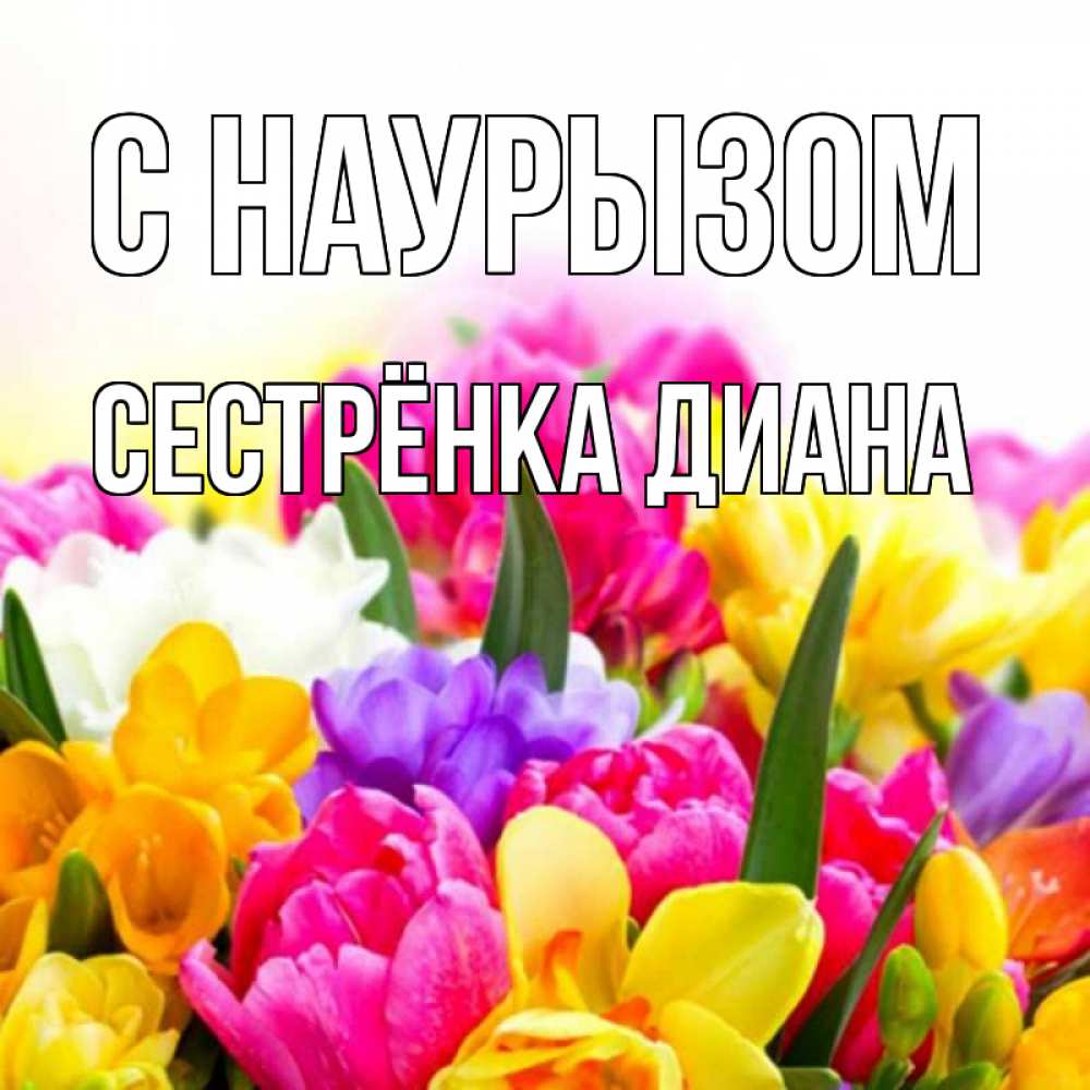 Открытка на каждый день с именем, Сестрёнка-Диана С наурызом тюльпаны Прикольная открытка с пожеланием онлайн скачать бесплатно 