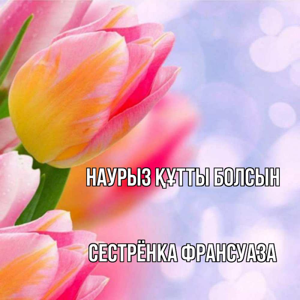 Открытка на каждый день с именем, Сестрёнка-Франсуаза Наурыз құтты болсын тюльпаны 2 Прикольная открытка с пожеланием онлайн скачать бесплатно 