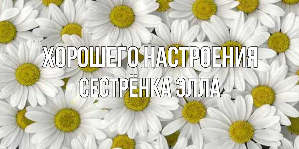Открытка на каждый день с именем, Сестрёнка-Элла Хорошего настроения поляна ромашек Прикольная открытка с пожеланием онлайн скачать бесплатно 