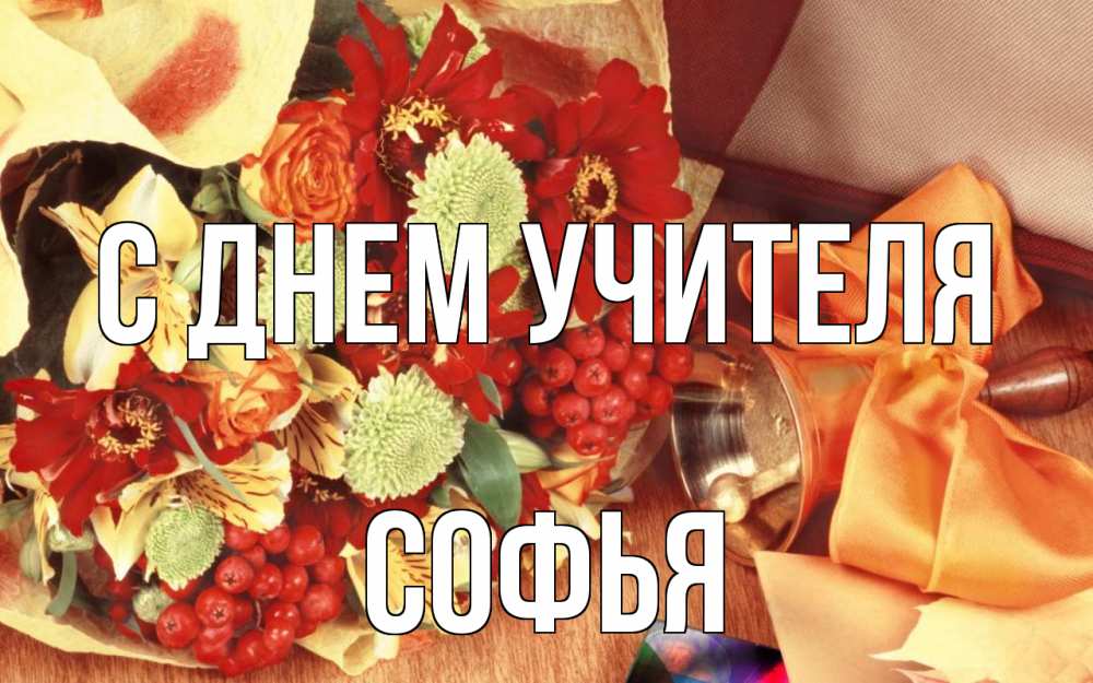 Открытка на каждый день с именем, Софья С днем учителя с днем учителя 1 Прикольная открытка с пожеланием онлайн скачать бесплатно 