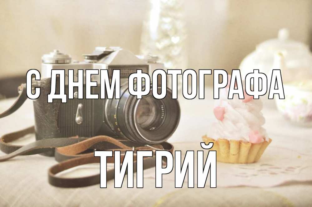 Открытка на каждый день с именем, Тигрий С днем фотографа с днем фотографа Прикольная открытка с пожеланием онлайн скачать бесплатно 