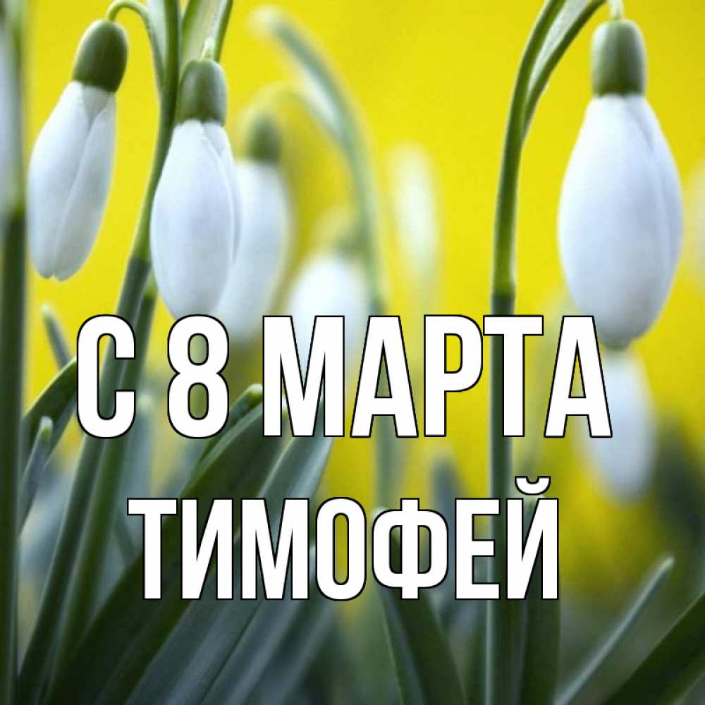 Открытка на каждый день с именем, Тимофей С 8 МАРТА весенние цветы Прикольная открытка с пожеланием онлайн скачать бесплатно 