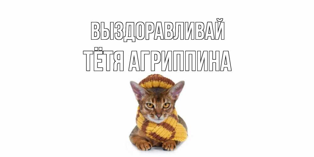 Открытка на каждый день с именем, Тётя-Агриппина Выздоравливай родные не болейте Прикольная открытка с пожеланием онлайн скачать бесплатно 