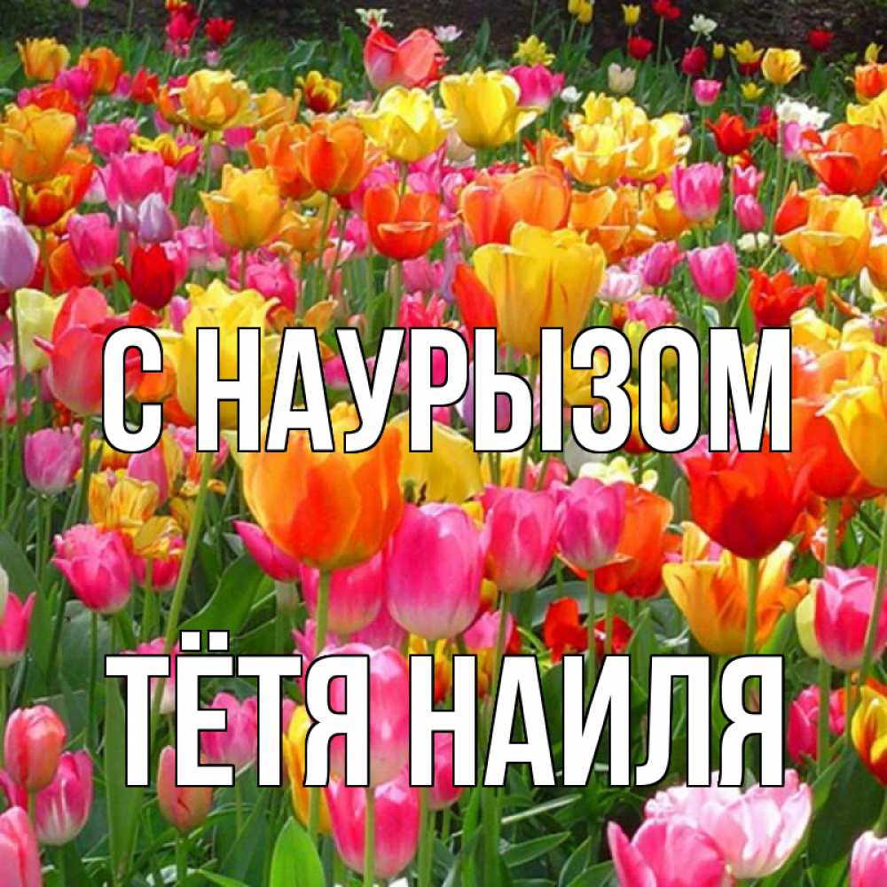 Открытка на каждый день с именем, Тётя-Наиля С наурызом праздник весны наурыз 4 Прикольная открытка с пожеланием онлайн скачать бесплатно 