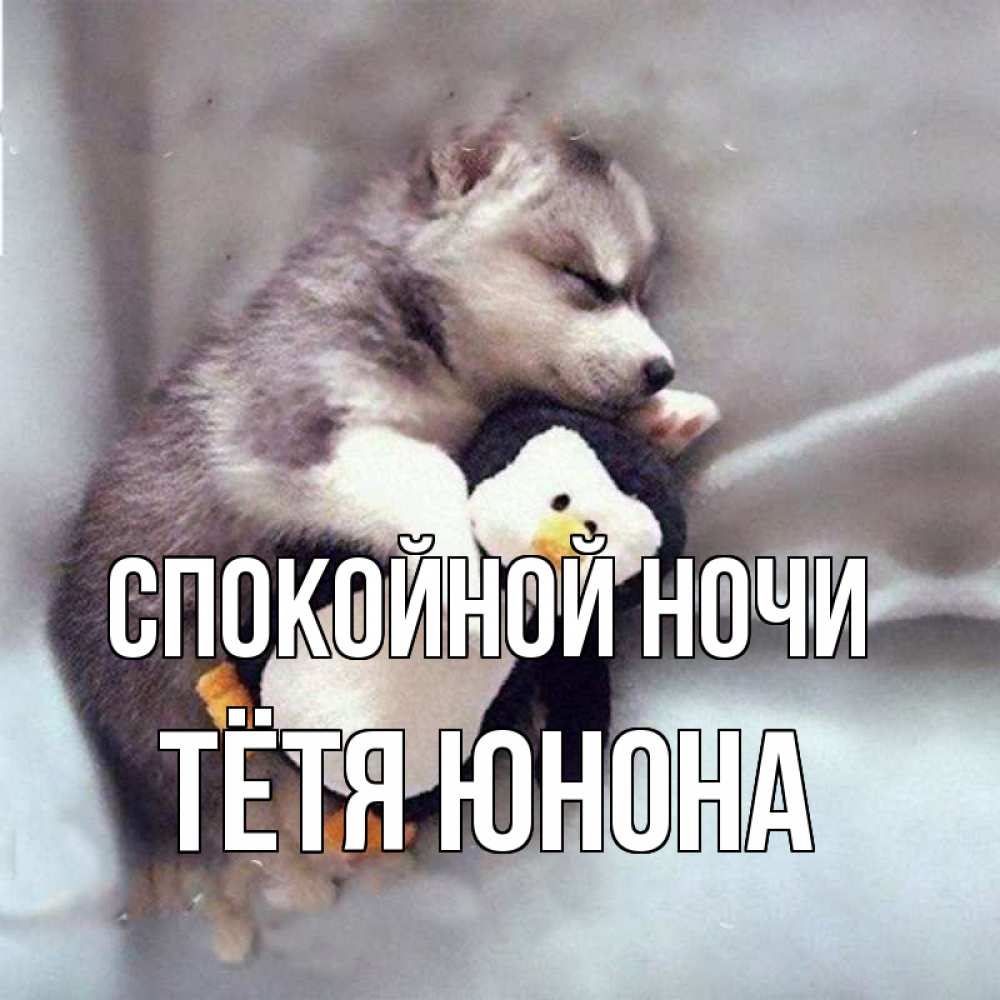 Открытка на каждый день с именем, Тётя-Юнона Спокойной ночи обнимашки щенка и пингвина Прикольная открытка с пожеланием онлайн скачать бесплатно 