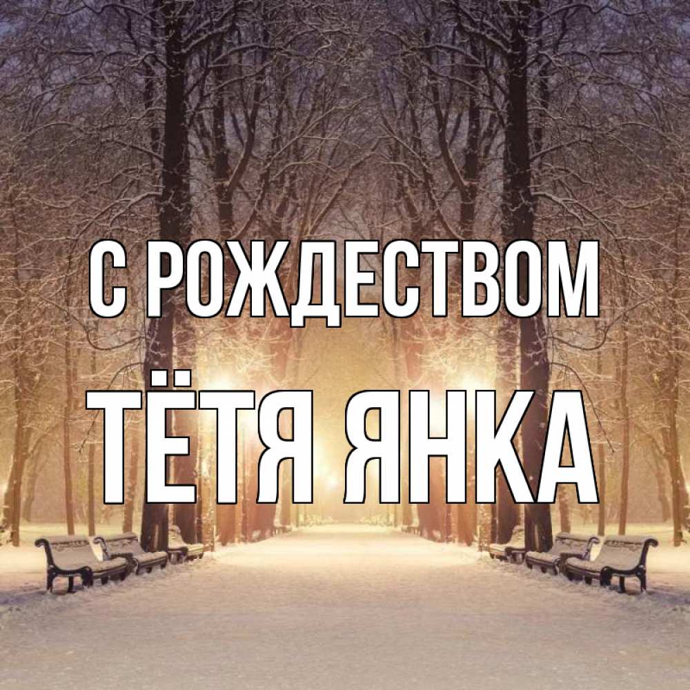 Открытка на каждый день с именем, Тётя-Янка С рождеством зима, парк, фонарь, лес Прикольная открытка с пожеланием онлайн скачать бесплатно 