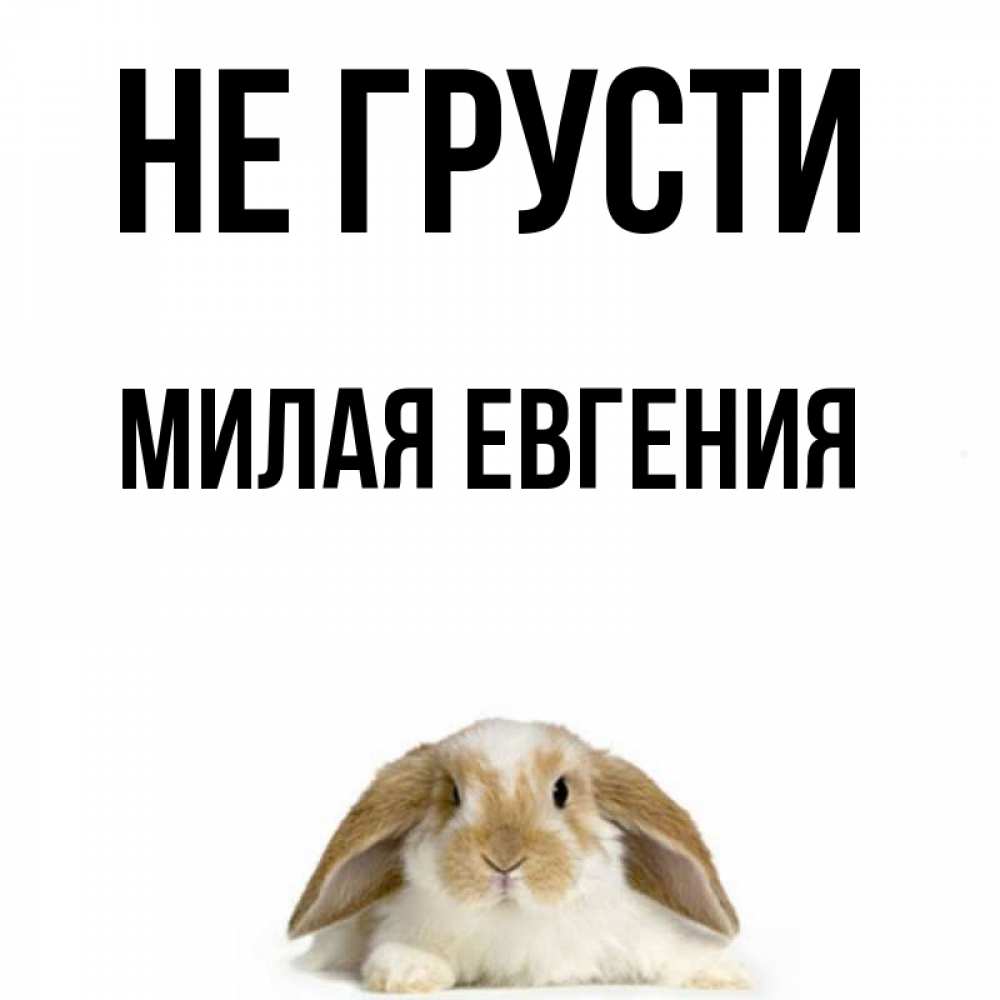 Мило не грусти