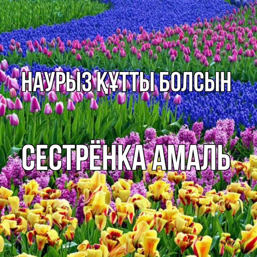 Открытка на каждый день с именем, Сестрёнка-Амаль Наурыз құтты болсын цветы Прикольная открытка с пожеланием онлайн скачать бесплатно 