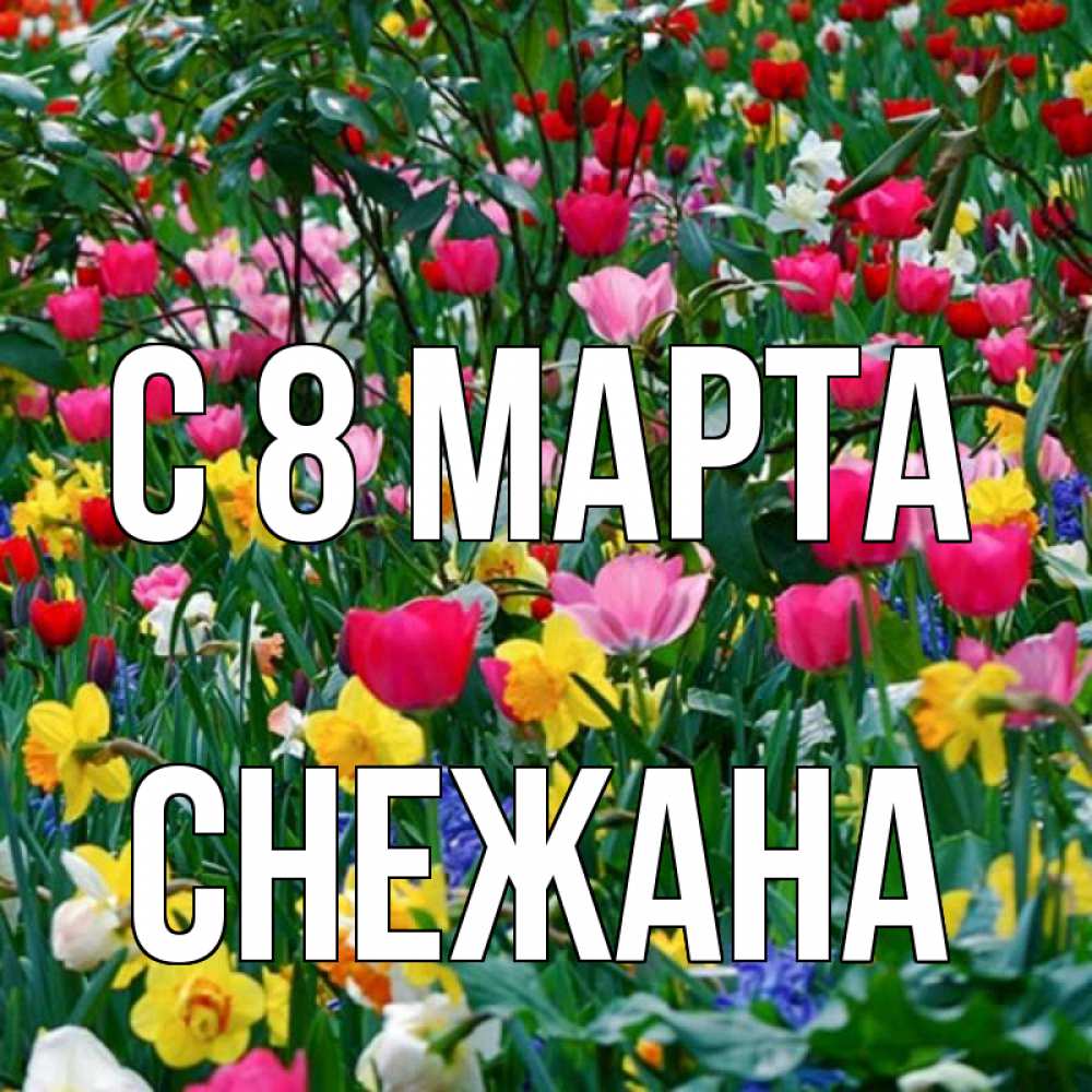Открытка на каждый день с именем, Снежана С 8 МАРТА с международным женским днем поздравления для женщины Прикольная открытка с пожеланием онлайн скачать бесплатно 