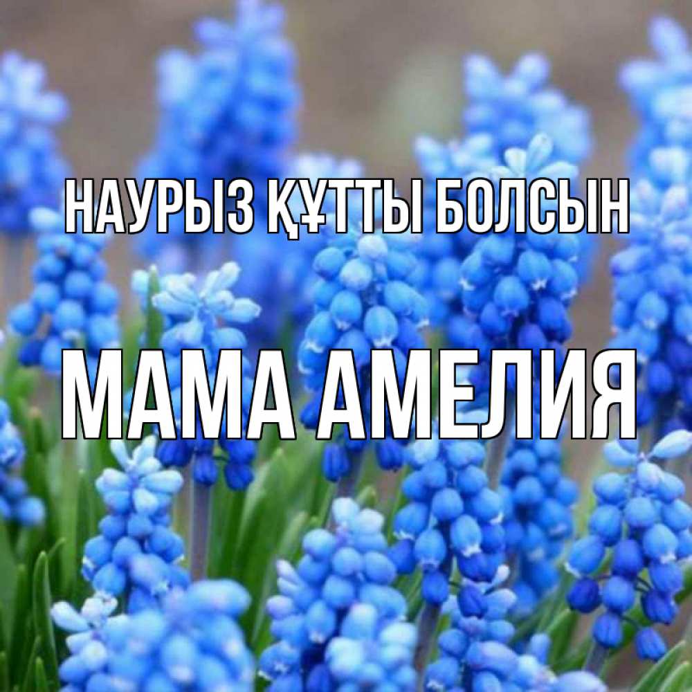 Открытка на каждый день с именем, Мама-Амелия Наурыз құтты болсын Поздравительная открытка для женщин с цветами на праздничную дату Прикольная открытка с пожеланием онлайн скачать бесплатно 