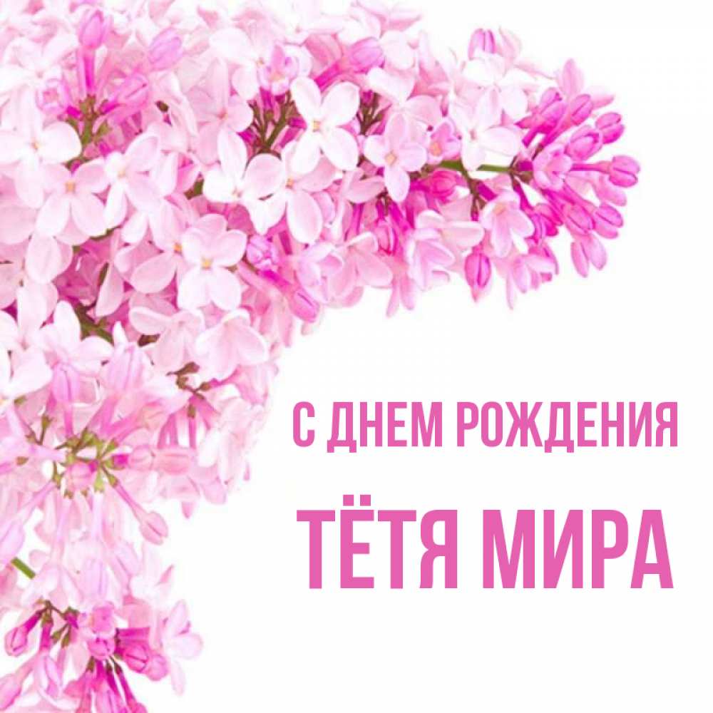 Открытка на каждый день с именем, Тётя-Мира С днем рождения Сирень на белом фоне Прикольная открытка с пожеланием онлайн скачать бесплатно 
