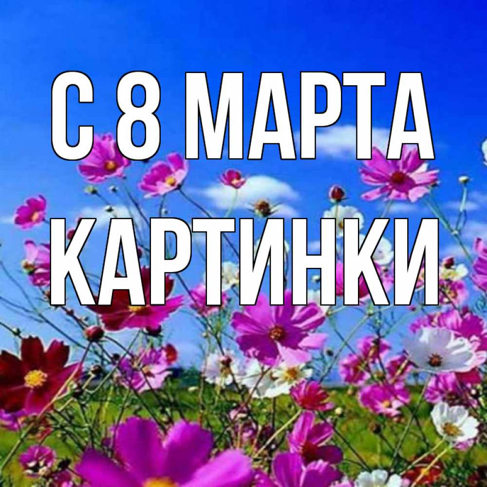 Открытка на каждый день с именем, Картинки С 8 МАРТА цветы Прикольная открытка с пожеланием онлайн скачать бесплатно 