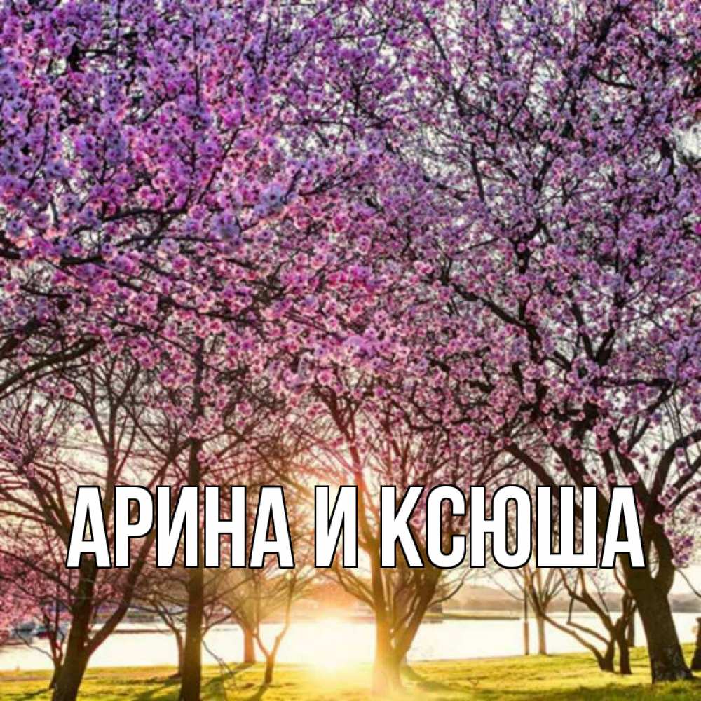 Открытка на каждый день с именем, Арина-и-Ксюша Главная праздник весны наурыз Прикольная открытка с пожеланием онлайн скачать бесплатно 