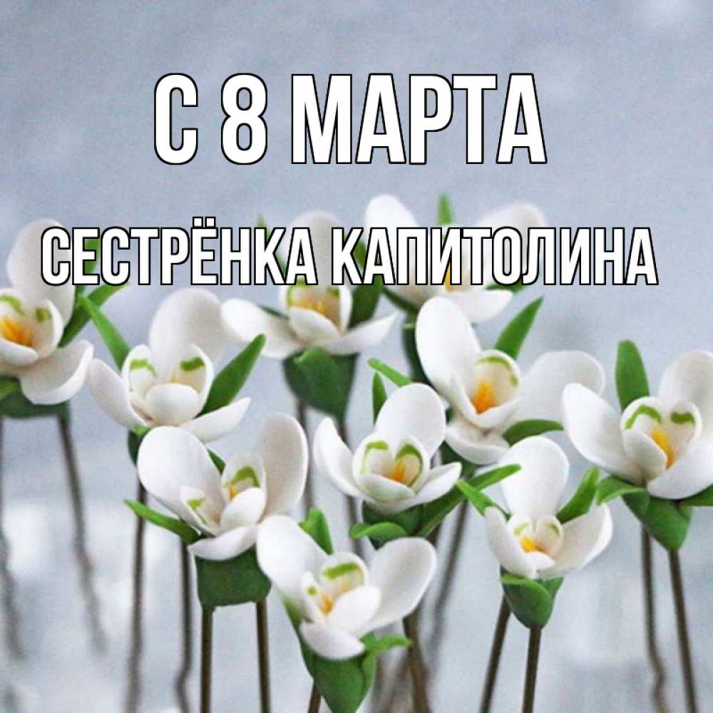 Открытка на каждый день с именем, Сестрёнка-Капитолина С 8 МАРТА весенние цветы Прикольная открытка с пожеланием онлайн скачать бесплатно 