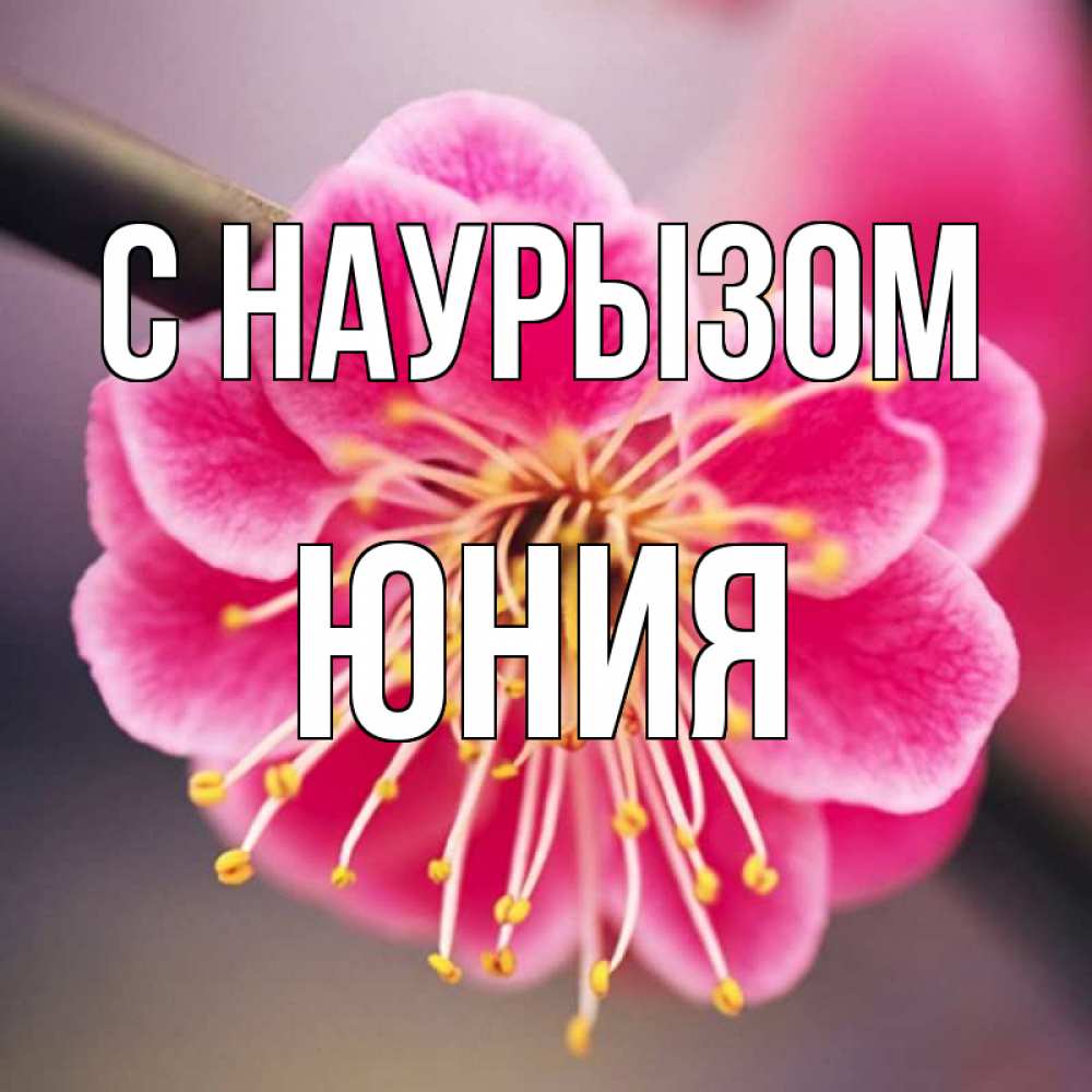 Открытка на каждый день с именем, Юния С наурызом цветы Прикольная открытка с пожеланием онлайн скачать бесплатно 