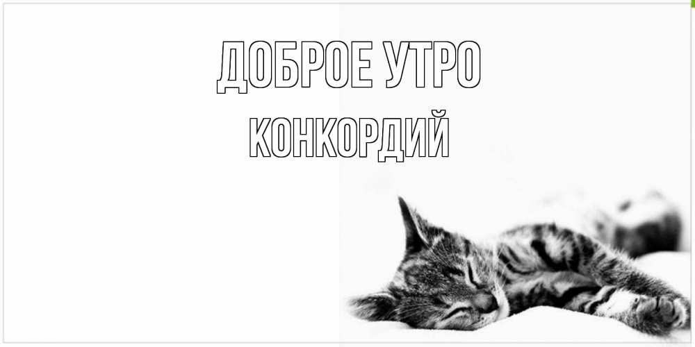 Открытка на каждый день с именем, Конкордий Доброе утро котуся Прикольная открытка с пожеланием онлайн скачать бесплатно 