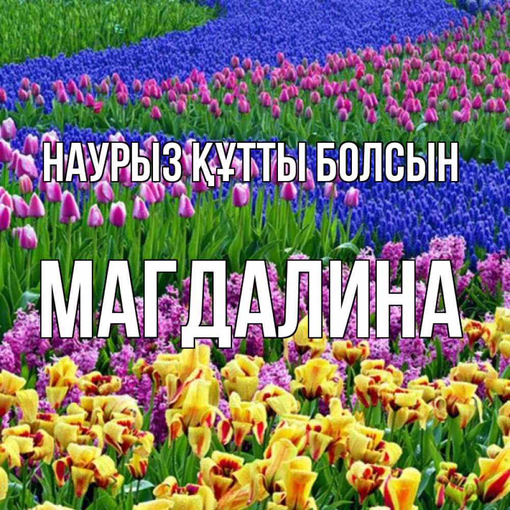 Открытка на каждый день с именем, Магдалина Наурыз құтты болсын цветы Прикольная открытка с пожеланием онлайн скачать бесплатно 