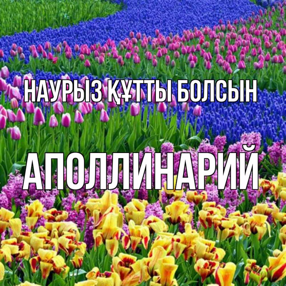 Открытка на каждый день с именем, Аполлинарий Наурыз құтты болсын цветы Прикольная открытка с пожеланием онлайн скачать бесплатно 