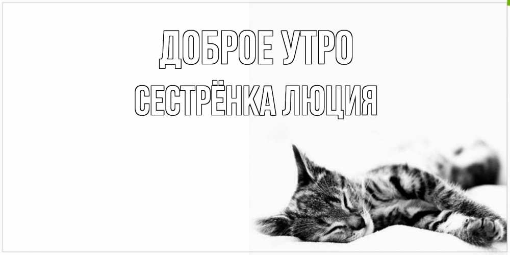 Открытка на каждый день с именем, Сестрёнка-Люция Доброе утро котуся Прикольная открытка с пожеланием онлайн скачать бесплатно 
