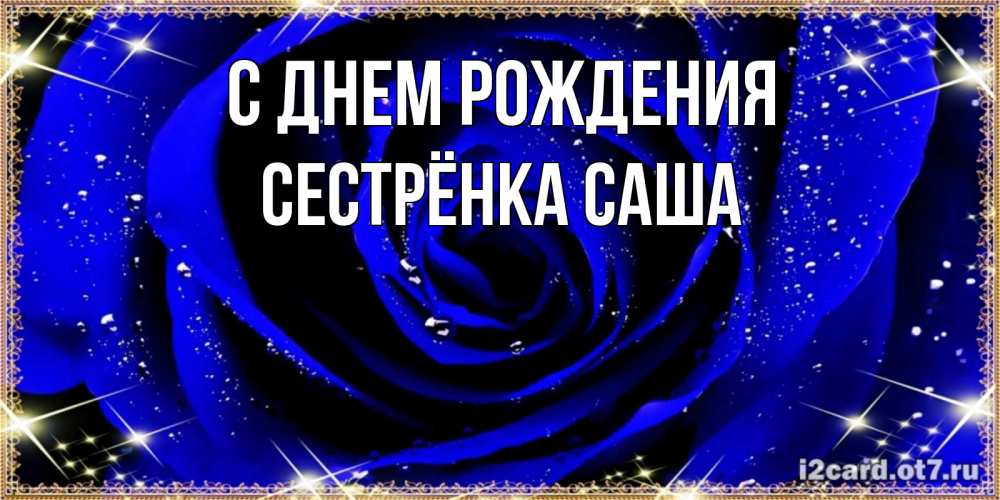 Открытка на каждый день с именем, Сестрёнка-Саша С днем рождения голубые цветы в росе Прикольная открытка с пожеланием онлайн скачать бесплатно 