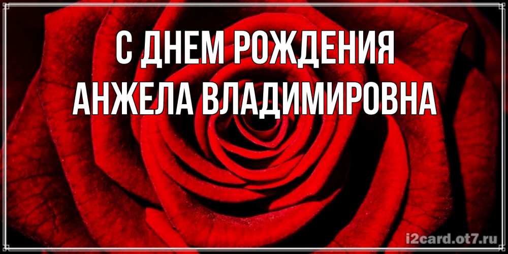Открытка на каждый день с именем, Анжела-Владимировна С днем рождения алая роза Прикольная открытка с пожеланием онлайн скачать бесплатно 