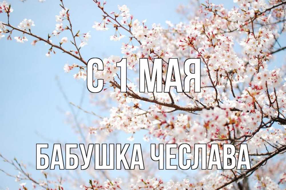 Открытка на каждый день с именем, Бабушка-Чеслава С 1 мая С 1 мая Прикольная открытка с пожеланием онлайн скачать бесплатно 